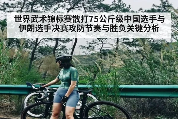 世界武术锦标赛散打75公斤级中国选手与伊朗选手决赛攻防节奏与胜负关键分析